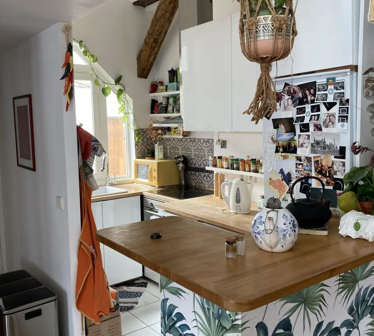 Apartamento Former Cabinetmaker's Workshop In Paris